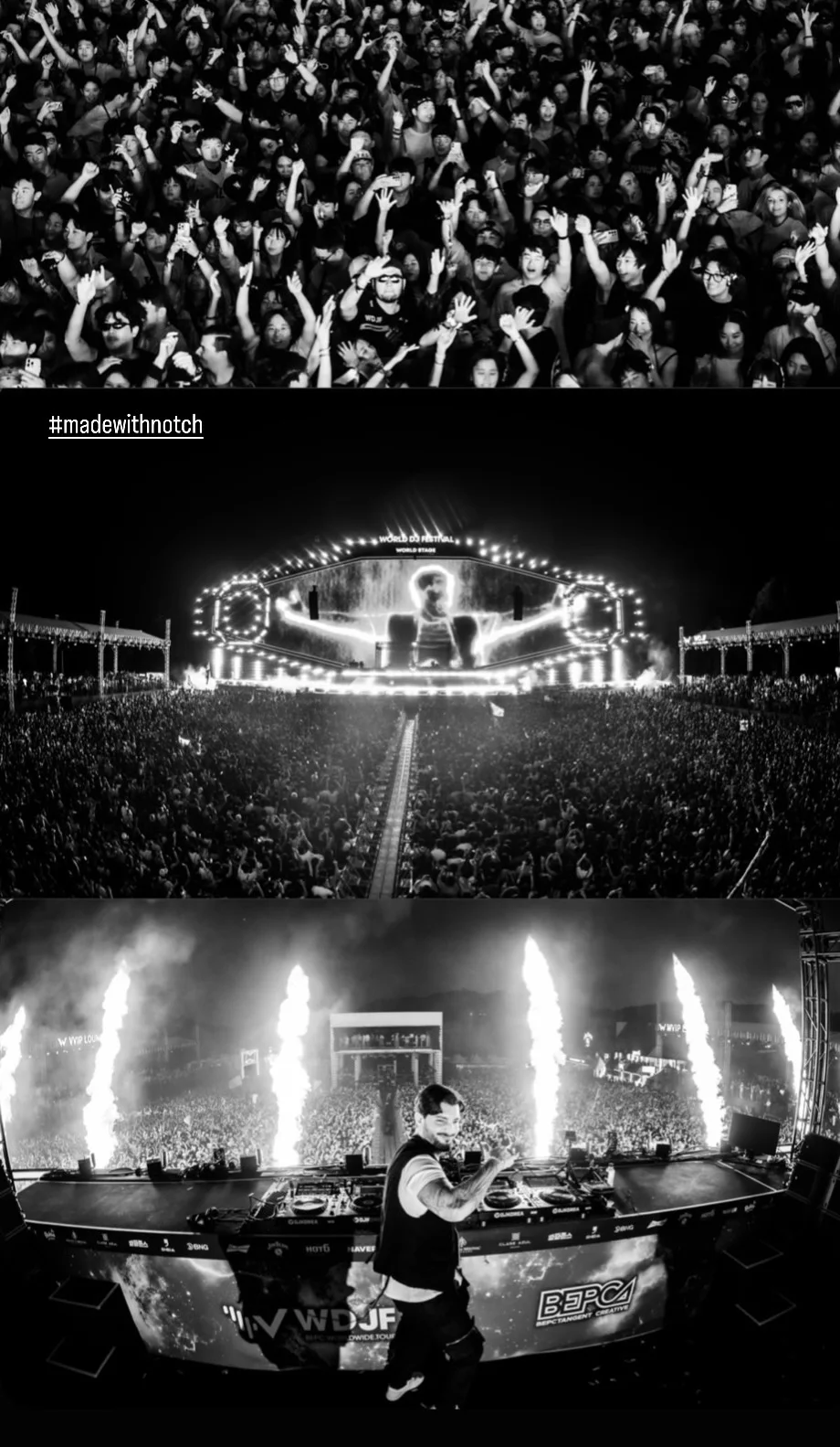 Alesso portrait-format visual frame during performance