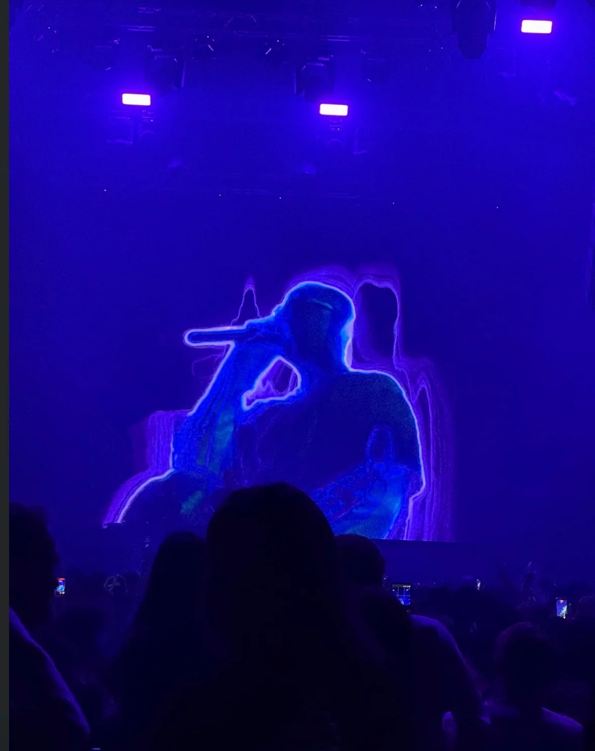 DJ Snake custom show visual detail