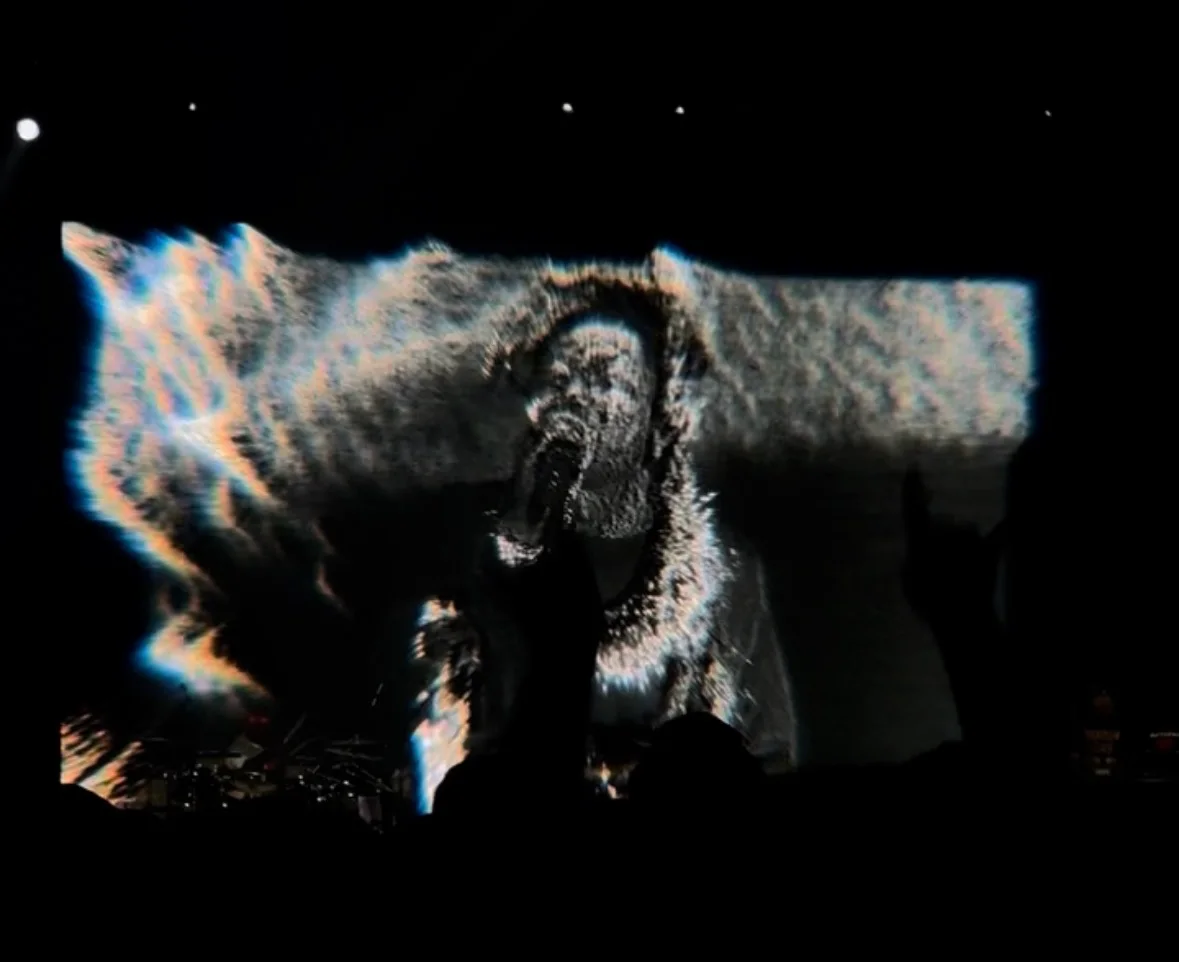 Lil Wayne custom live visual detail